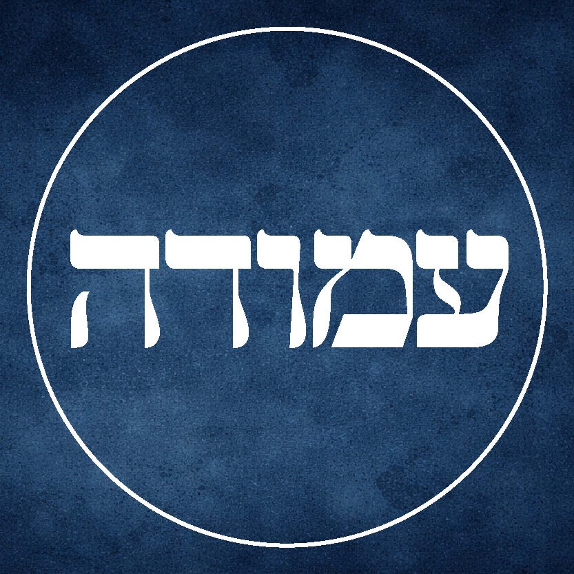 תרומת עמודה | 100 שח כפול 12