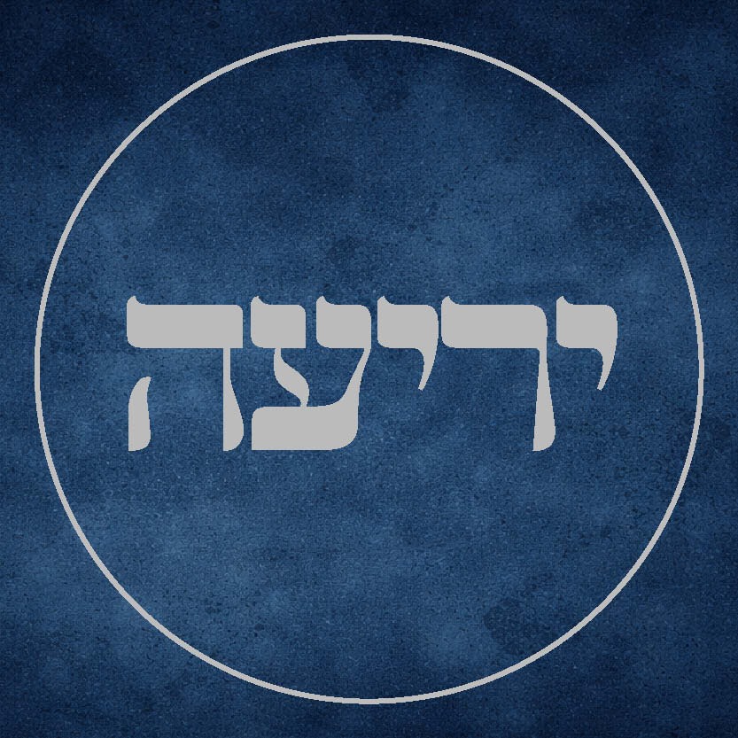 תרומת יריעה | 300 שח כפול 12